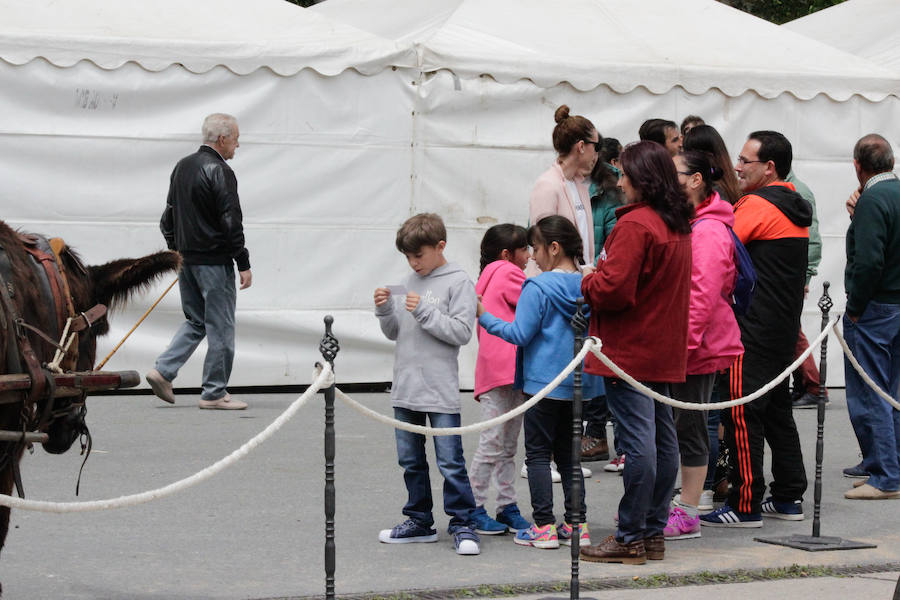 Fotos: Feria Agroganadera de Alba de Tormes