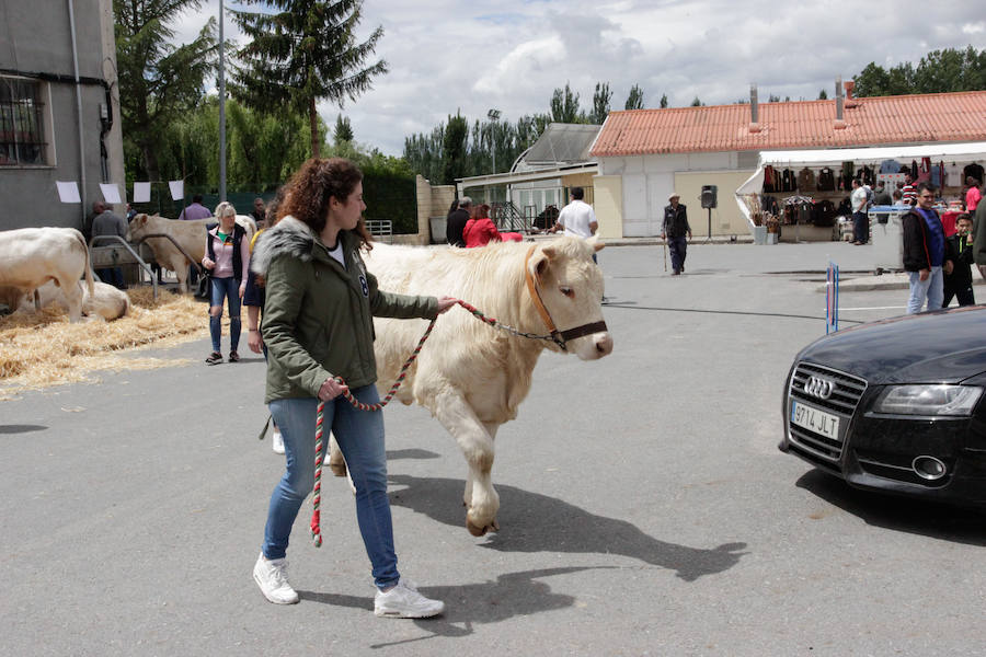 Fotos: Feria Agroganadera de Alba de Tormes