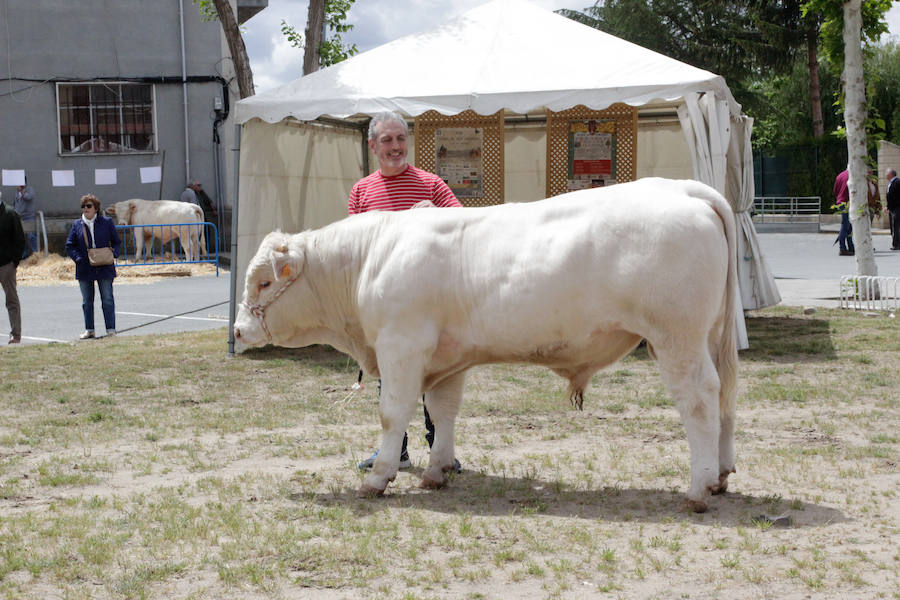 Fotos: Feria Agroganadera de Alba de Tormes