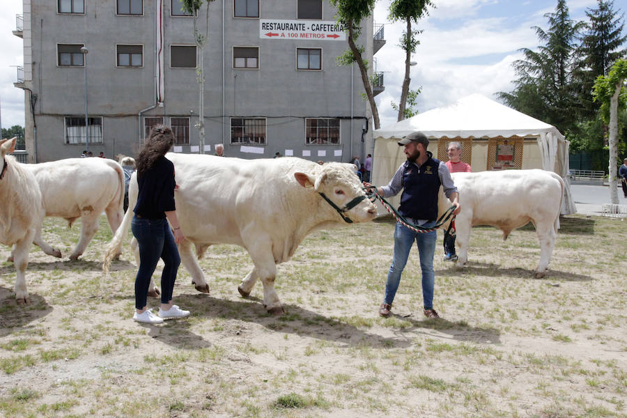 Fotos: Feria Agroganadera de Alba de Tormes