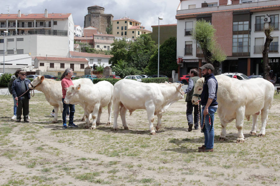 Fotos: Feria Agroganadera de Alba de Tormes