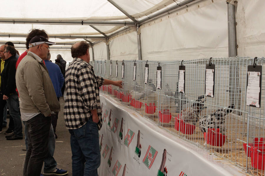 El mayor número de cabezas de ganado y de visitantes animan al alcalde a seguir apostando por un evento «que cada año ha ido a más»