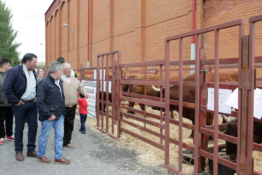 El mayor número de cabezas de ganado y de visitantes animan al alcalde a seguir apostando por un evento «que cada año ha ido a más»