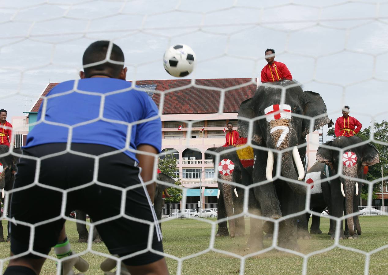 Elefantes y sus entrenadores juegan al fútbol con estudiantes durante un evento promocional de la Copa Mundial de la FIFA 2018 en una escuela en la provincia de Ayutthaya, al norte de Bangkok (Tailandia)
