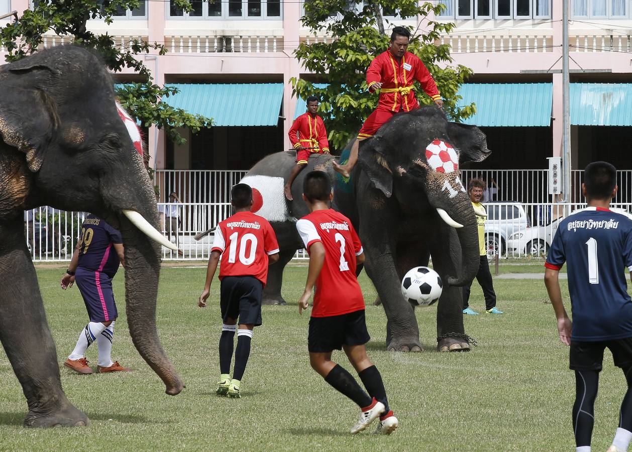 Elefantes y sus entrenadores juegan al fútbol con estudiantes durante un evento promocional de la Copa Mundial de la FIFA 2018 en una escuela en la provincia de Ayutthaya, al norte de Bangkok (Tailandia)