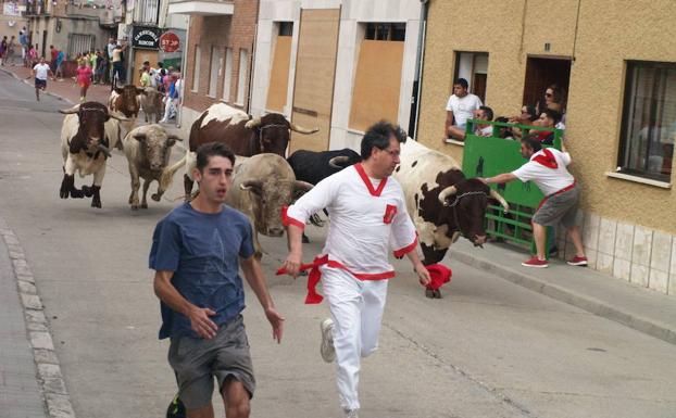 Dos corredores delante de los toros de Prieto de la Cal en los encierros del pasado año en Pedrajas. 