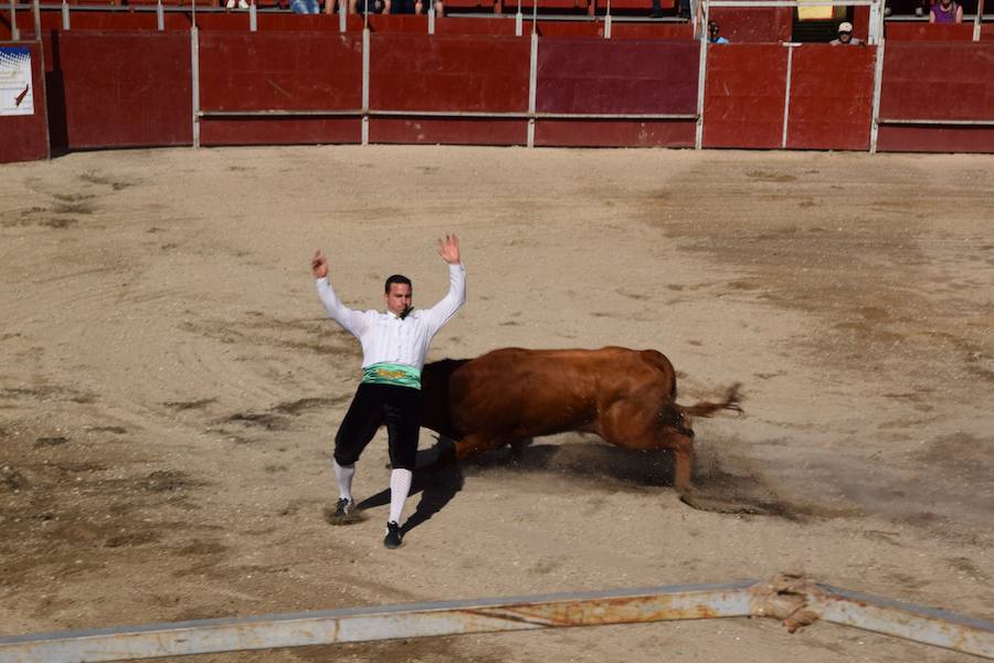 Fotos: Espectáculo de cortes en Guardo