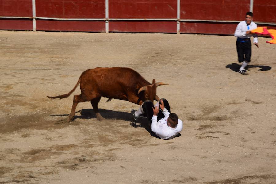 Fotos: Espectáculo de cortes en Guardo