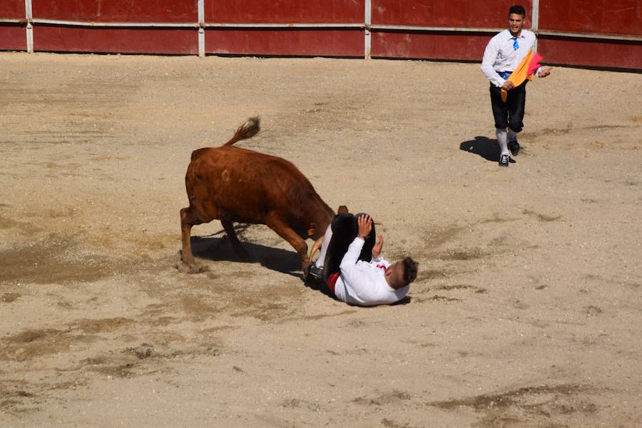 Fotos: Espectáculo de cortes en Guardo