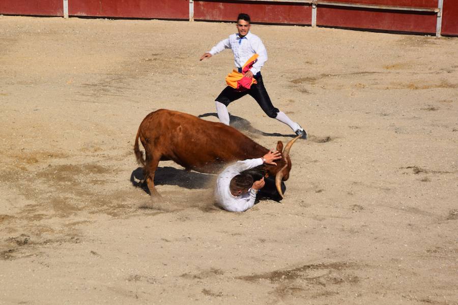 Fotos: Espectáculo de cortes en Guardo