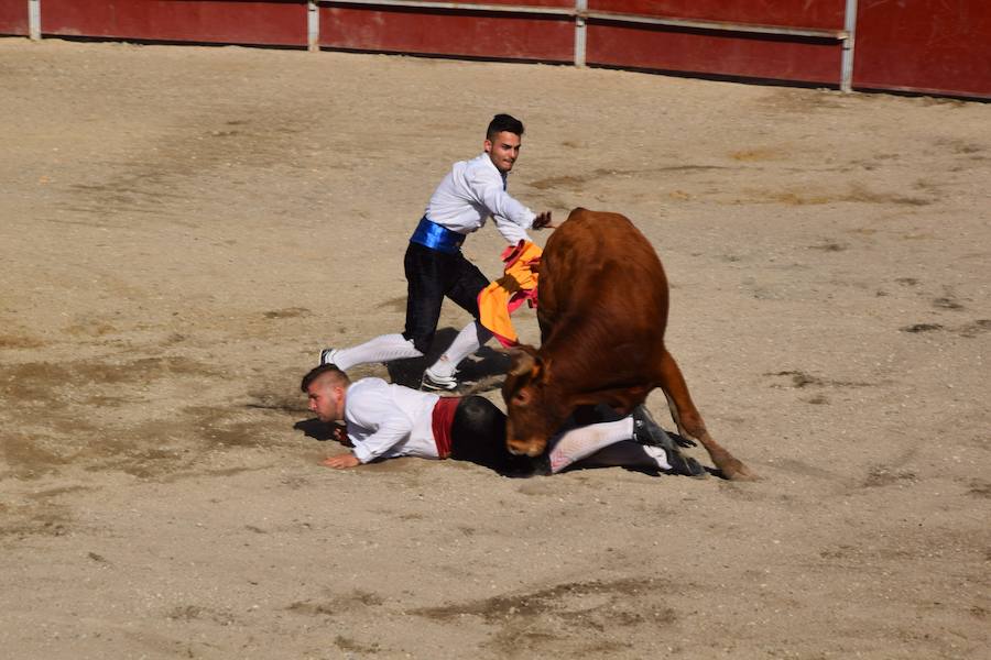 Fotos: Espectáculo de cortes en Guardo