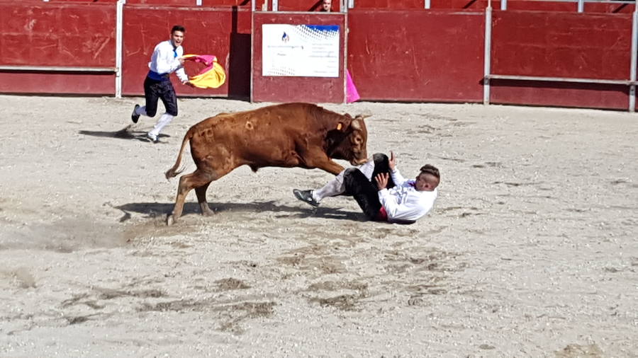 Fotos: Espectáculo de cortes en Guardo