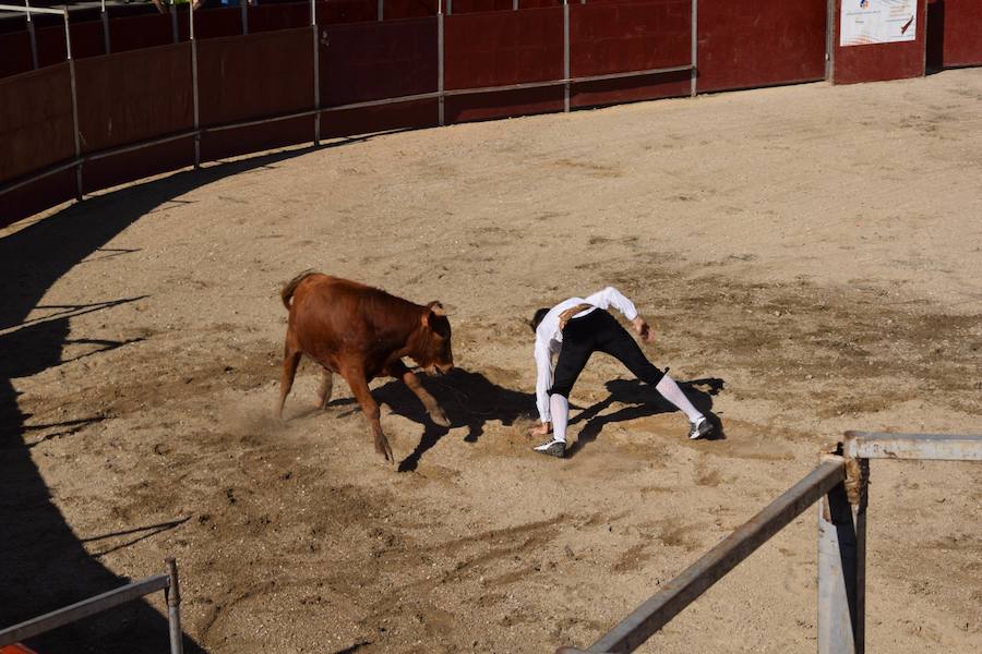 Fotos: Espectáculo de cortes en Guardo