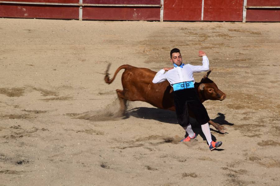 Fotos: Espectáculo de cortes en Guardo