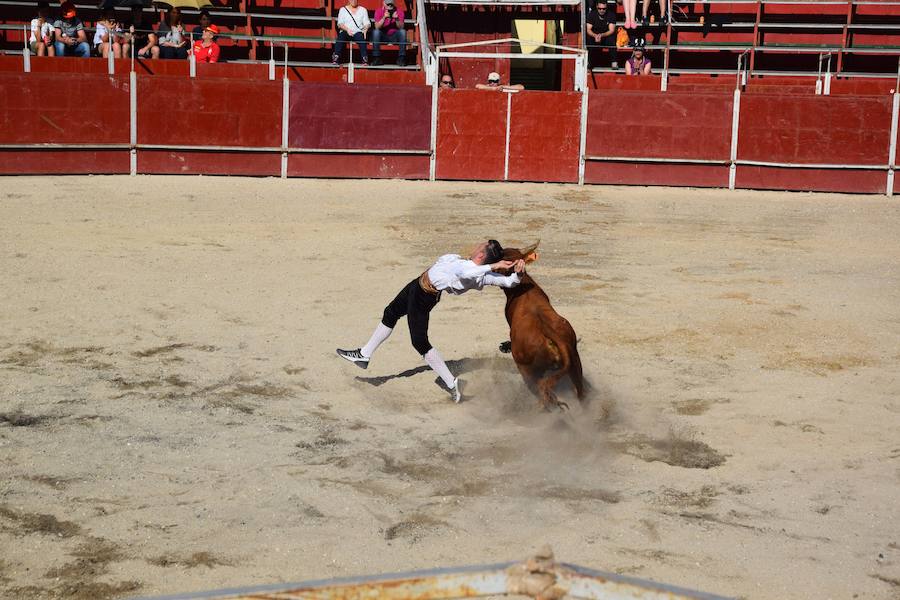 Fotos: Espectáculo de cortes en Guardo