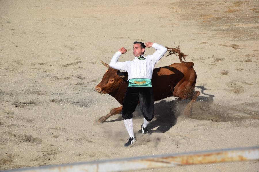 Fotos: Espectáculo de cortes en Guardo