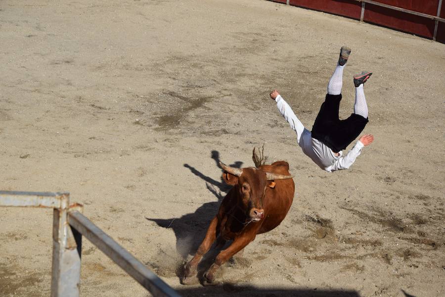 Fotos: Espectáculo de cortes en Guardo