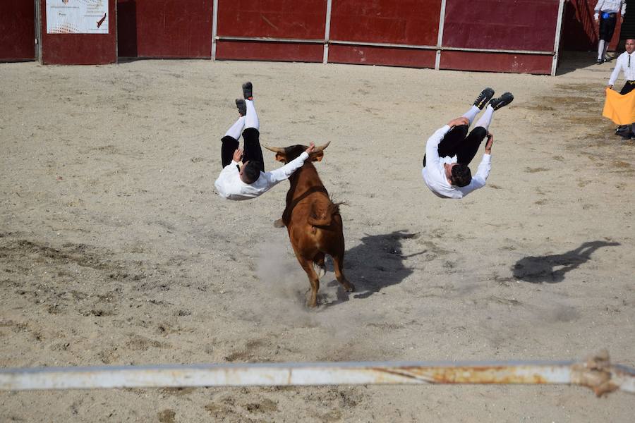 Fotos: Espectáculo de cortes en Guardo