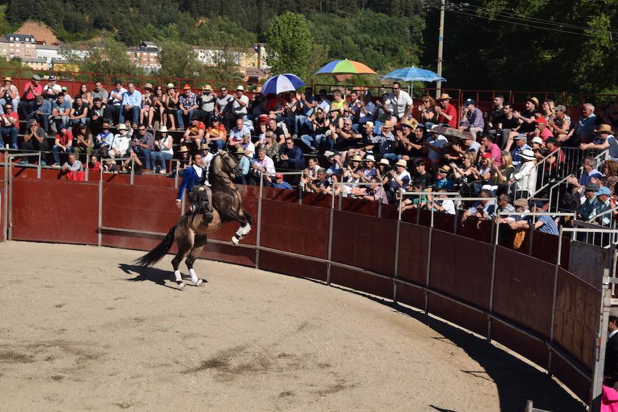 Fotos: Accidentada corrida de toros en las fiestas de Guardo