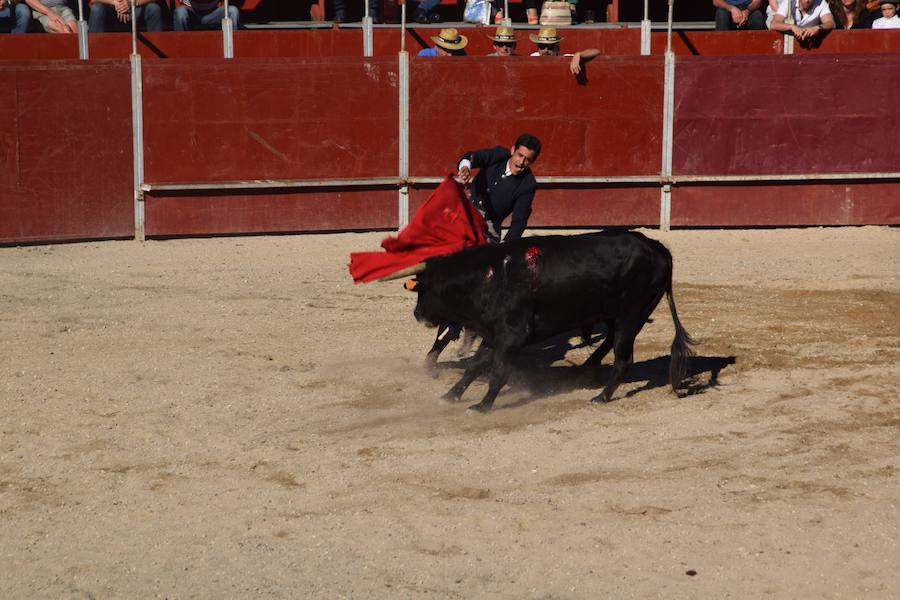 Fotos: Accidentada corrida de toros en las fiestas de Guardo