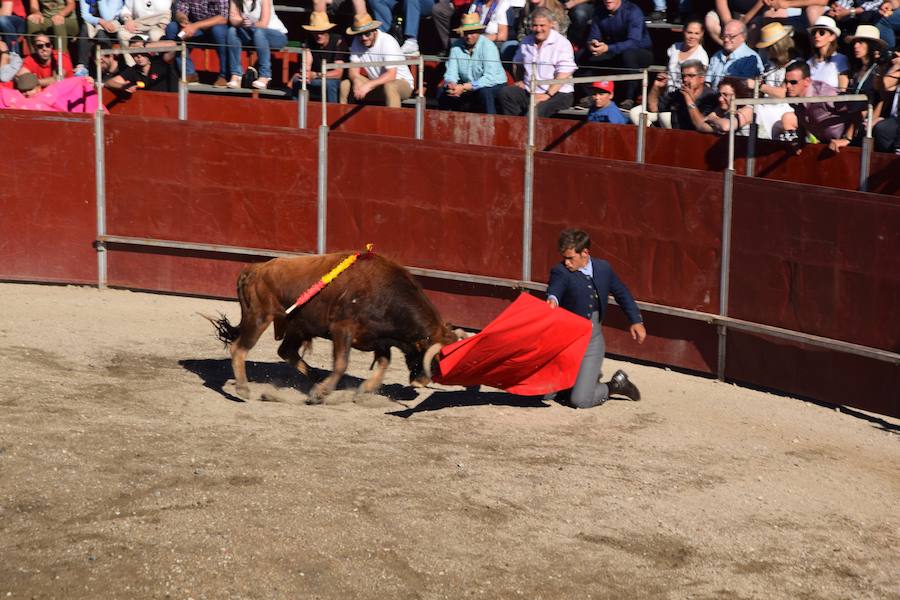 Fotos: Accidentada corrida de toros en las fiestas de Guardo