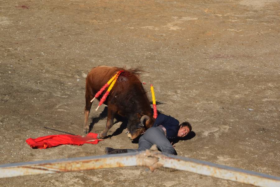 Fotos: Accidentada corrida de toros en las fiestas de Guardo