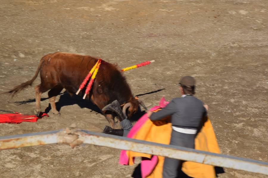 Fotos: Accidentada corrida de toros en las fiestas de Guardo