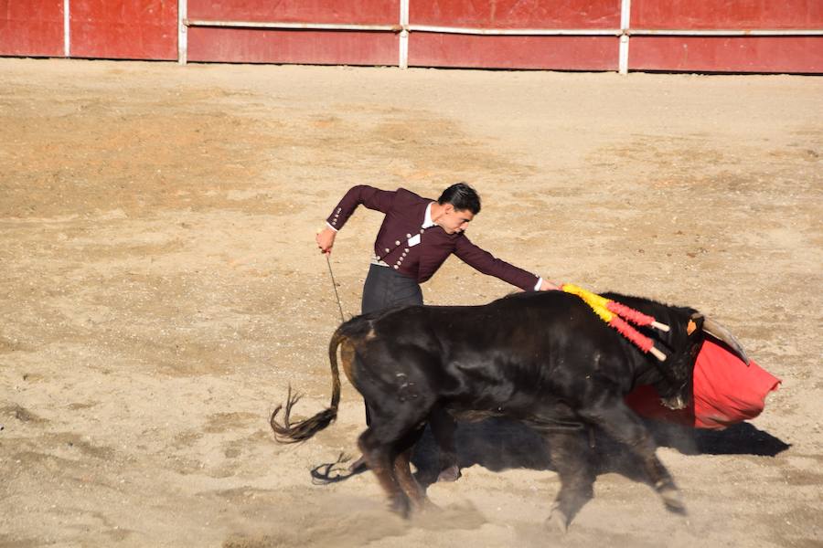 Fotos: Accidentada corrida de toros en las fiestas de Guardo