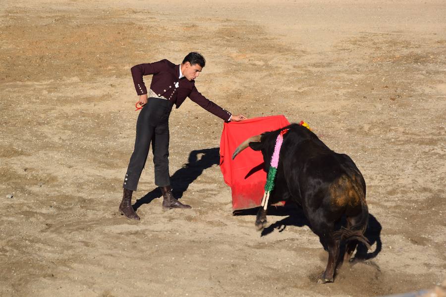 Fotos: Accidentada corrida de toros en las fiestas de Guardo