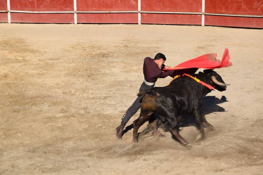 Fotos: Accidentada corrida de toros en las fiestas de Guardo