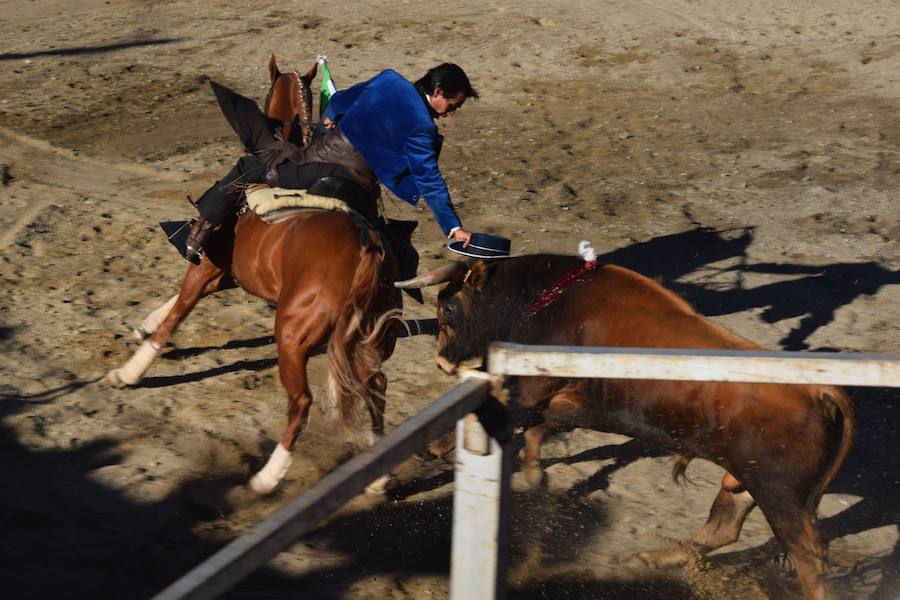 Fotos: Accidentada corrida de toros en las fiestas de Guardo