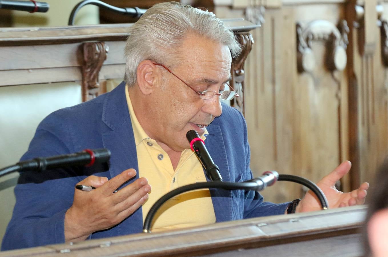 Fotos: Pleno en el Ayuntamiento de Valladolid