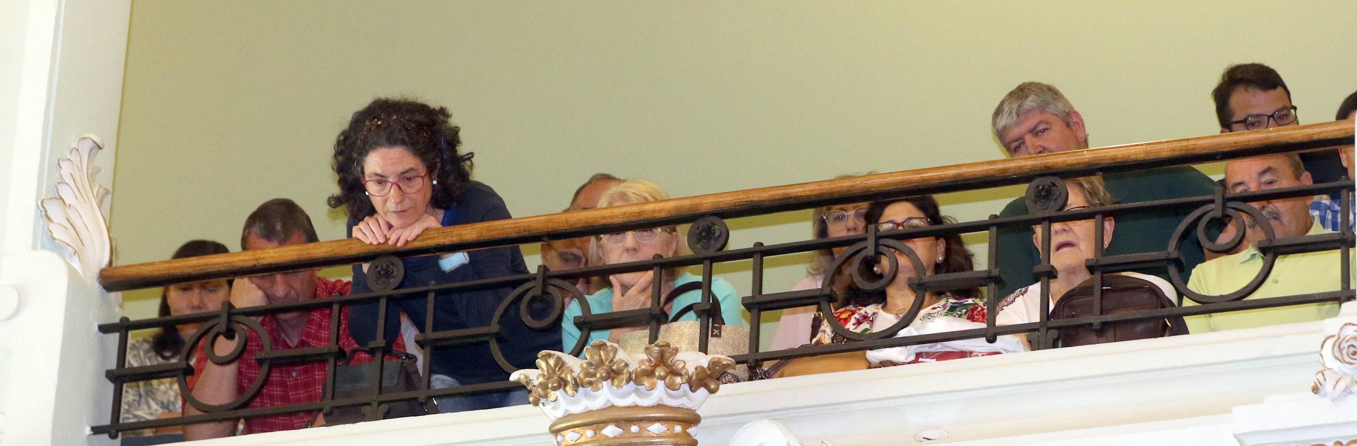 Fotos: Pleno en el Ayuntamiento de Valladolid