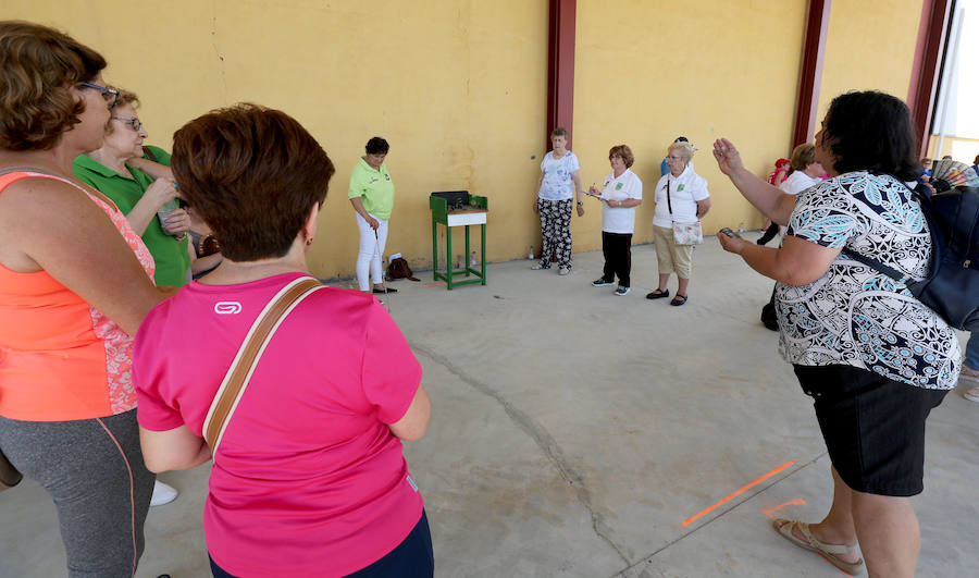 Clausura de los campeonatos provinciales de Diputación de Valladolid en Matapozuelos 