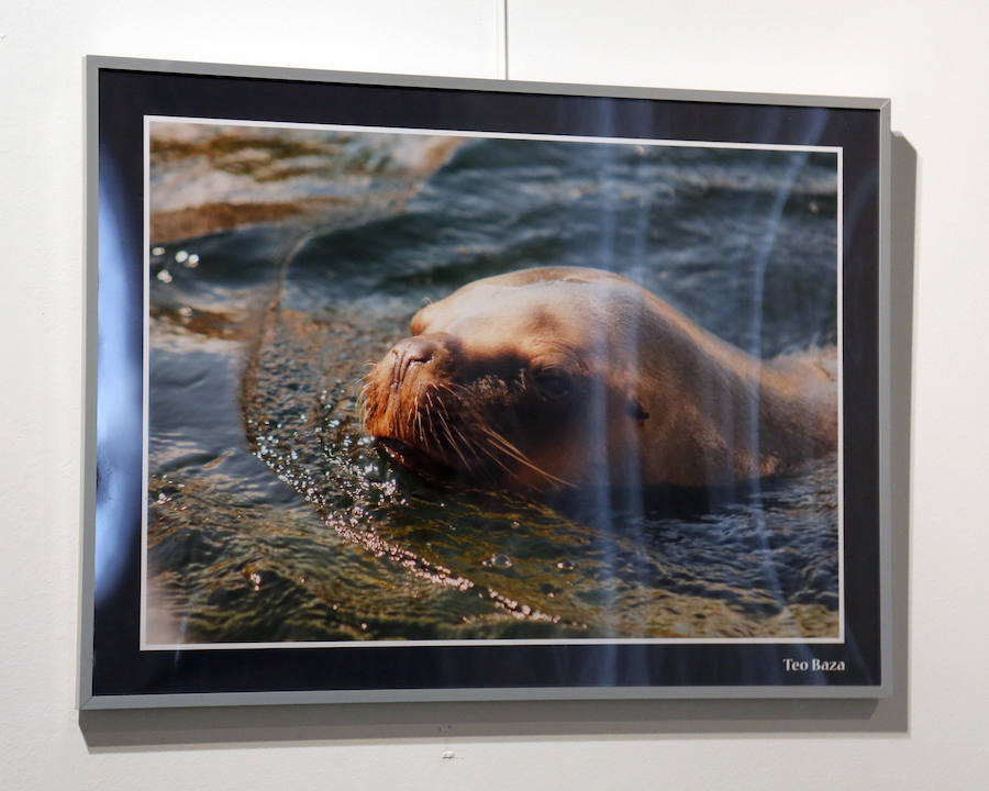 Fotos: Retratos de Animales en Palencia
