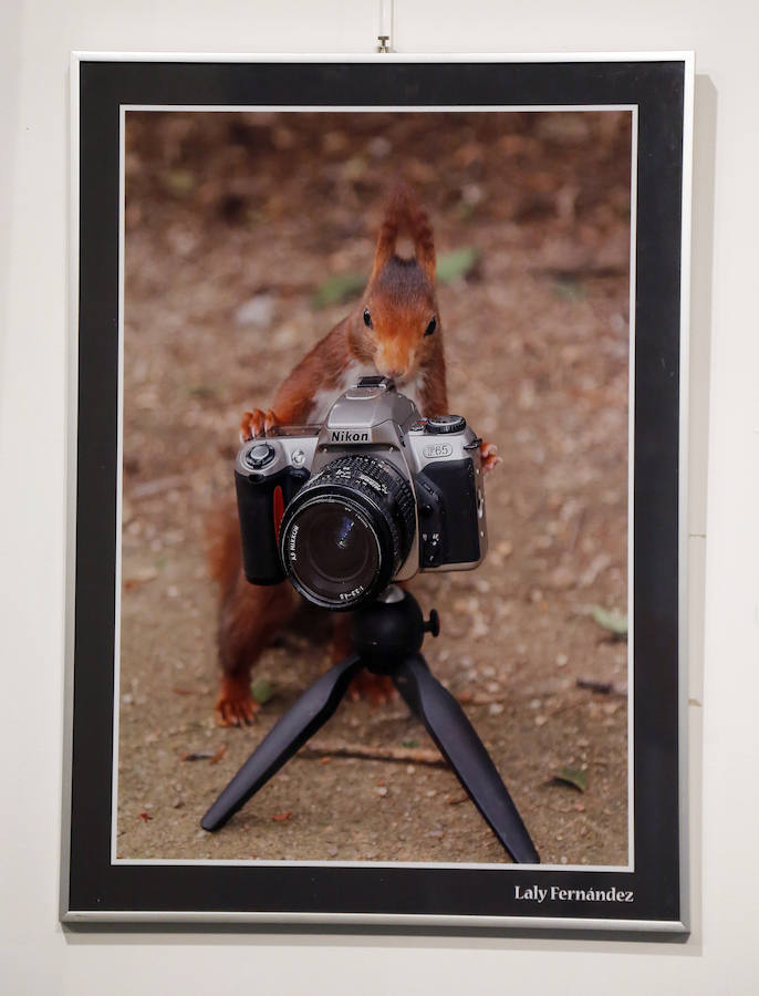 Fotos: Retratos de Animales en Palencia