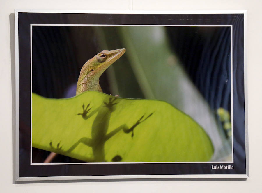 Fotos: Retratos de Animales en Palencia
