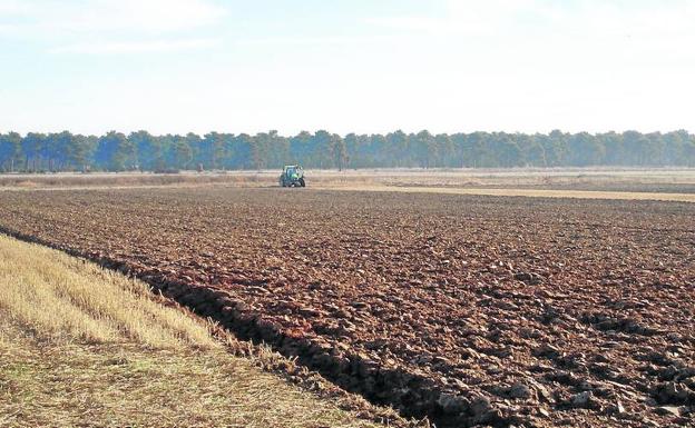 Un tractor trabaja en un terreno de cultivo de la provincia. 