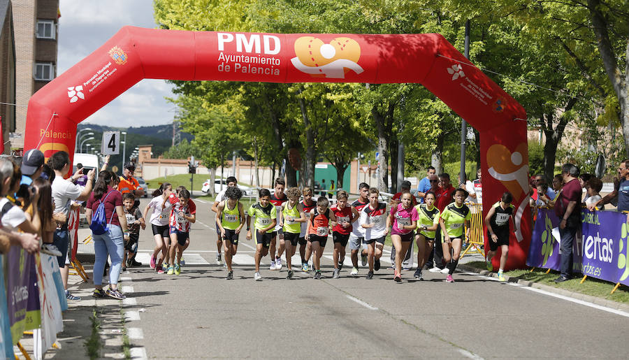 Fotos: XXIII Carrera Popular de la avda Madrid