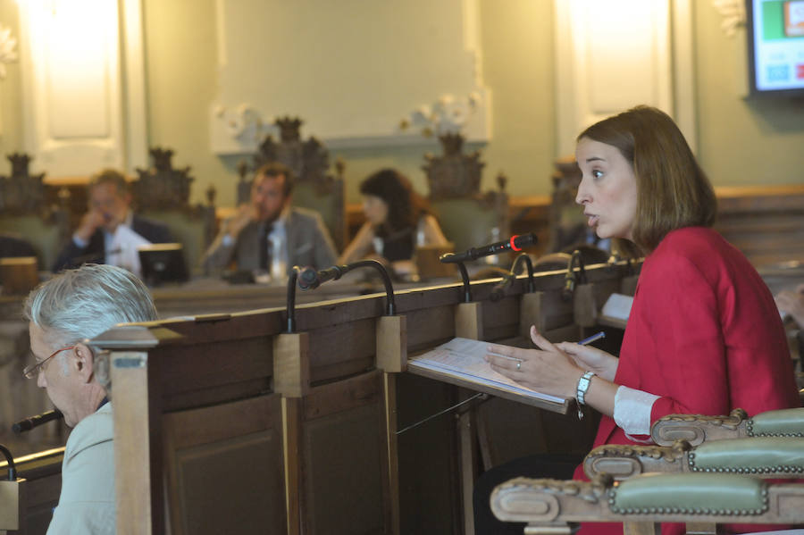 Fotos: Pleno en el Ayuntamiento de Valladolid