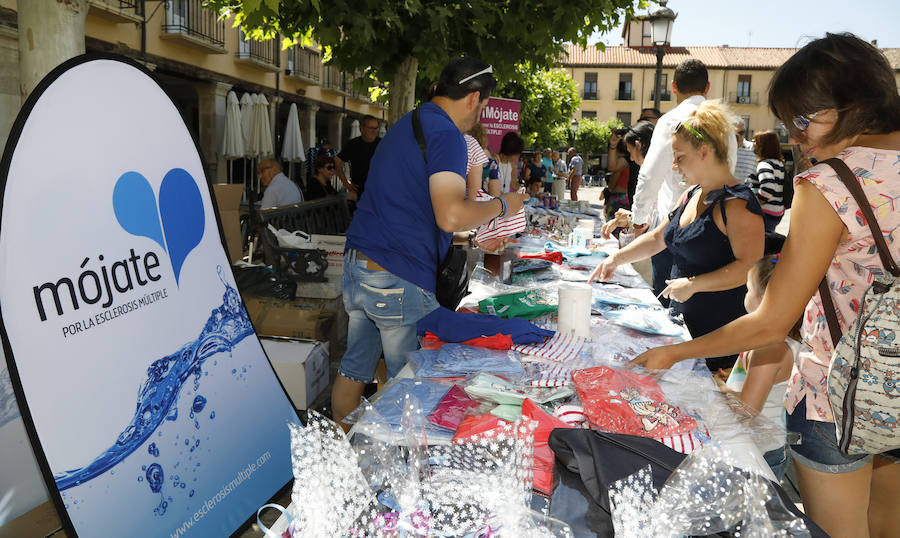 Fotos: Palencia se moja por la esclerosis