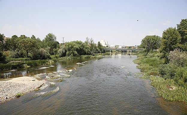 El río Tormes, a la altura de la pesquera de Tejares.