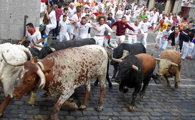 Los toros de Fuente Ymbro ceden el protagonismo a los cabestros