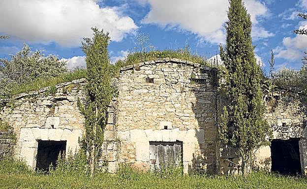 Bodegas en el Canal de Castilla. 