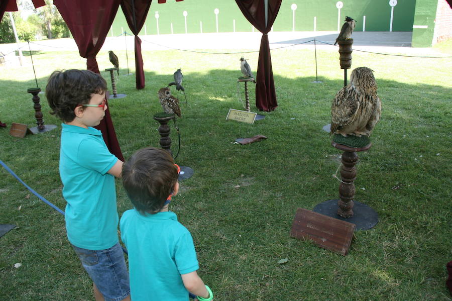 Fotos: Mercado Medieval de Sanchonuño