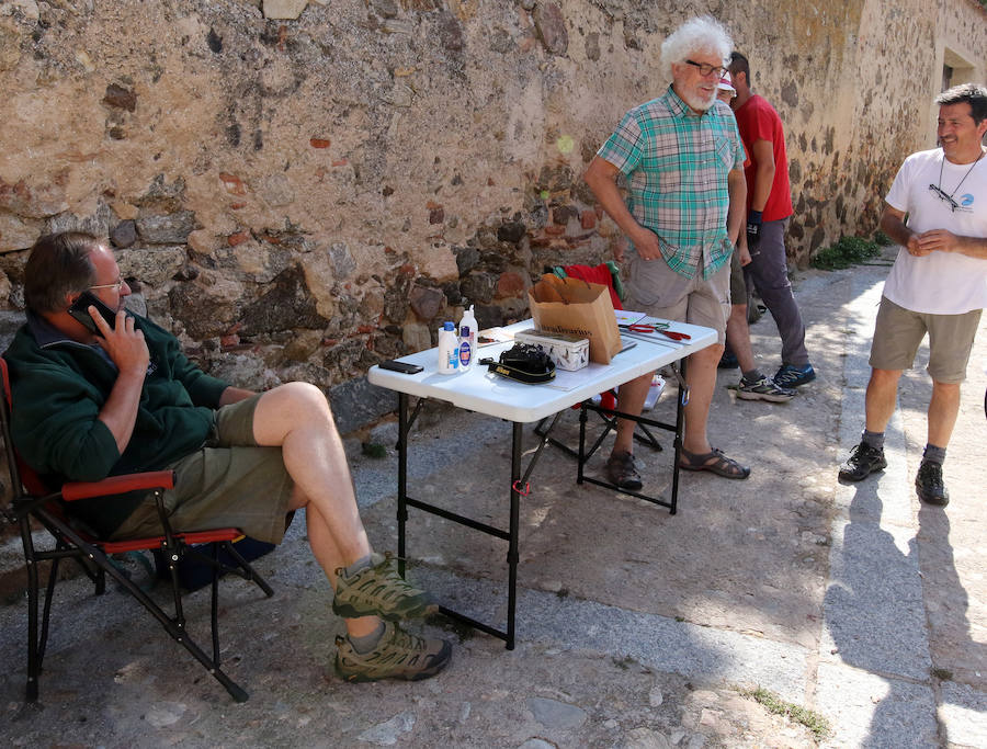 Fotos: Control de la colonia de vencejos en Segovia