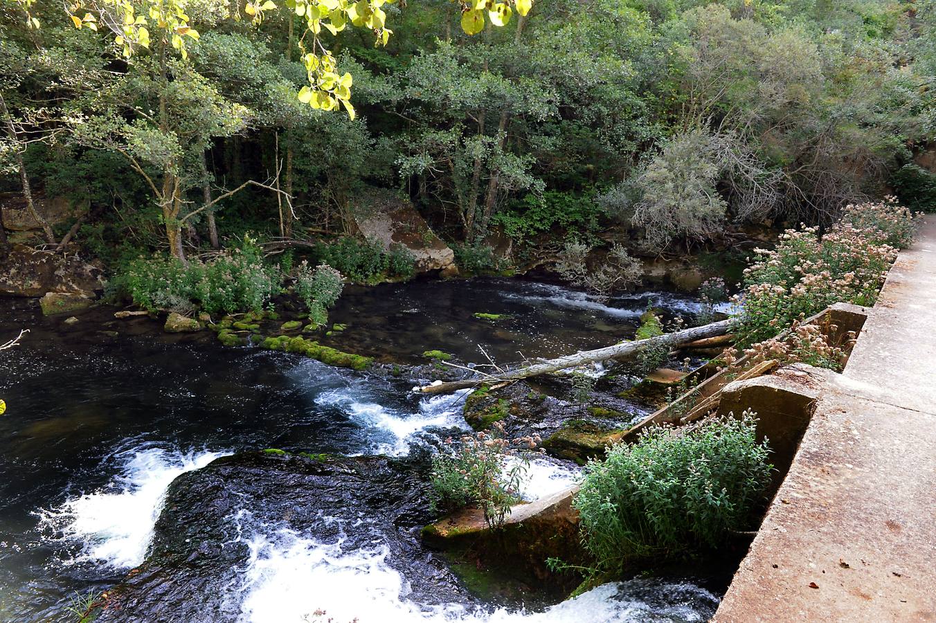 Río Rudrón Parque Natural del Alto Ebro y Rudrón.