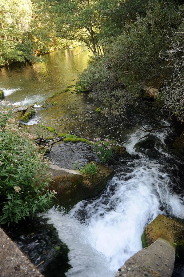 Río Rudrón Parque Natural del Alto Ebro y Rudrón.