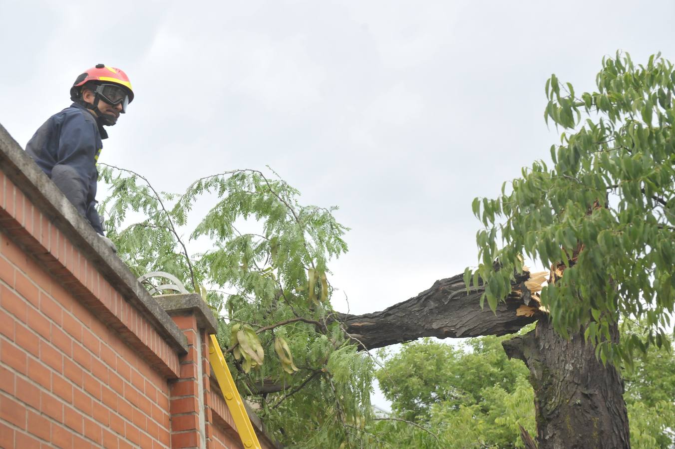 Fotos: Tormenta veraniega en Valladolid