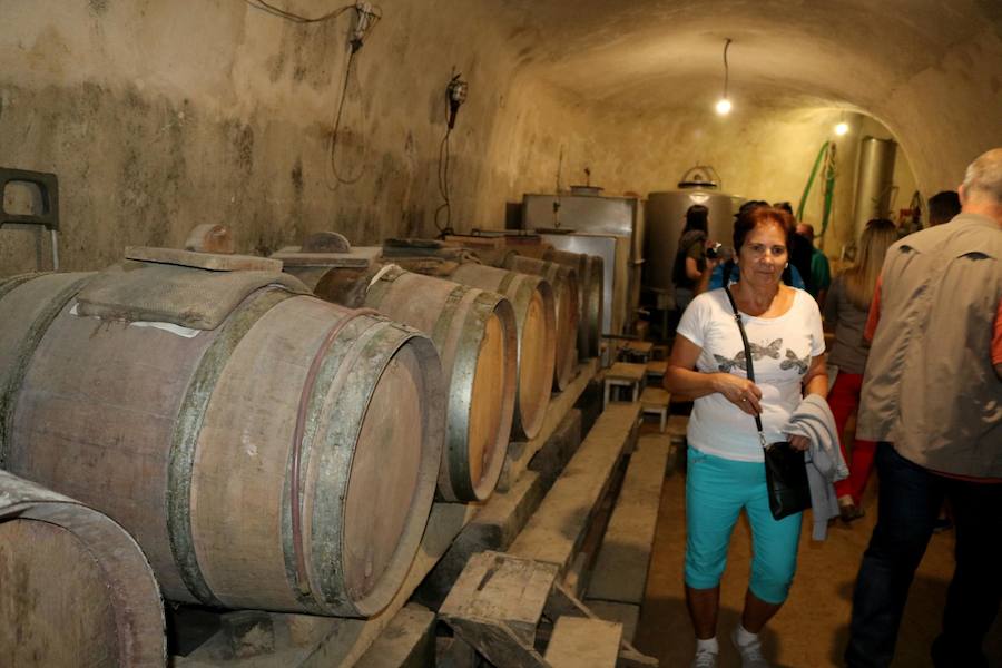 Fotos: Ruta por las cuevas y bodegas de Dueñas